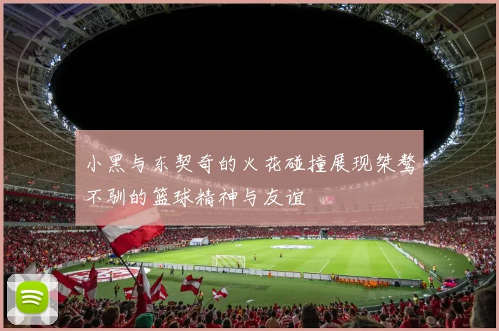 小黑与东契奇的火花碰撞展现桀骜不驯的篮球精神与友谊